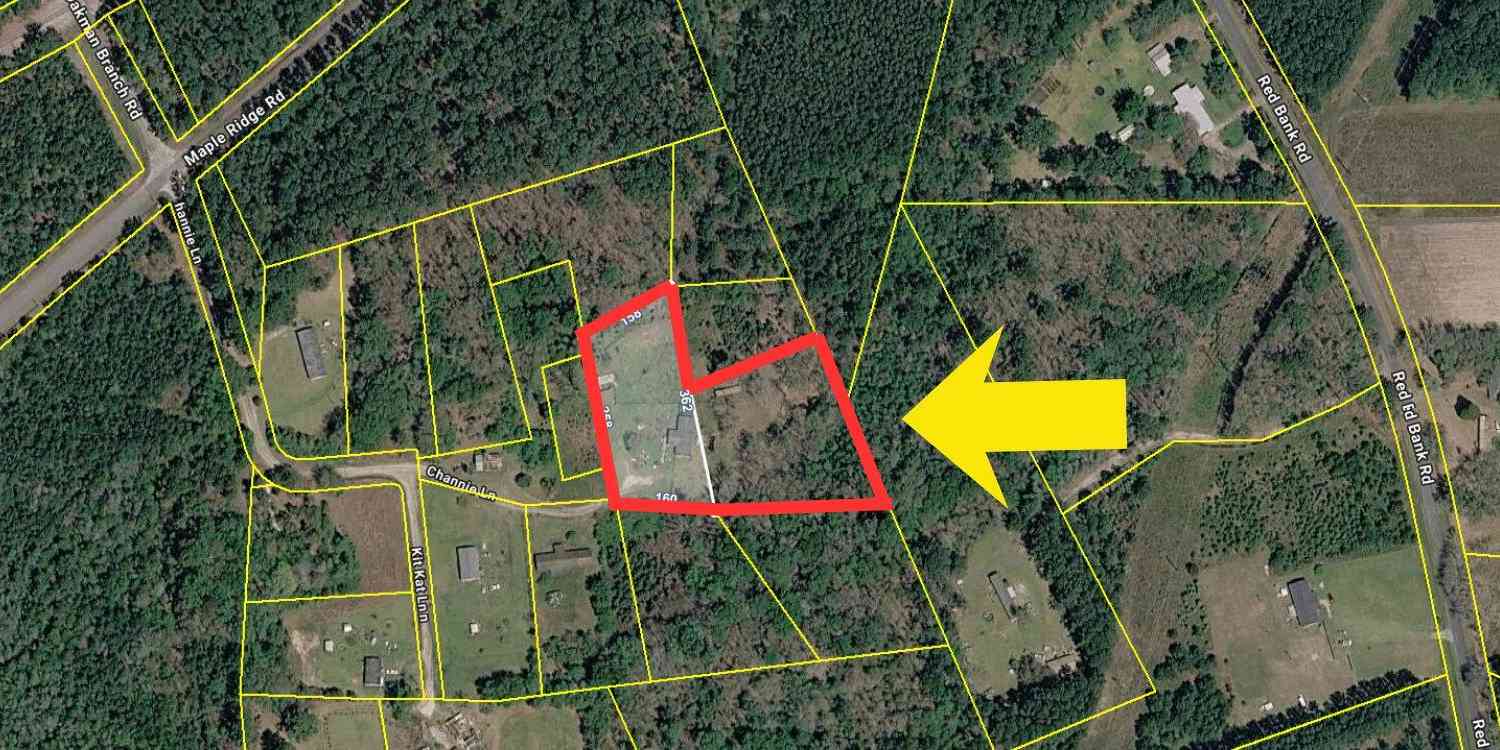 Vacant Land For Sale - 212 Channie Lane<br/> Walterboro, SC 29488
