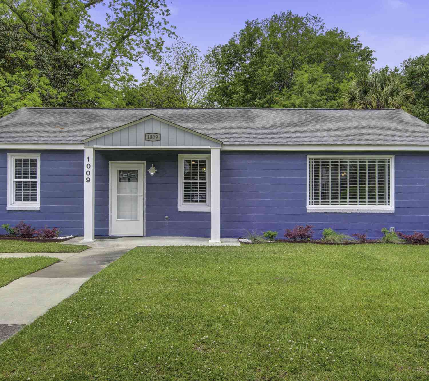 Homes For Rent - 1009 Diana Street<br/> Charleston, SC 29407
