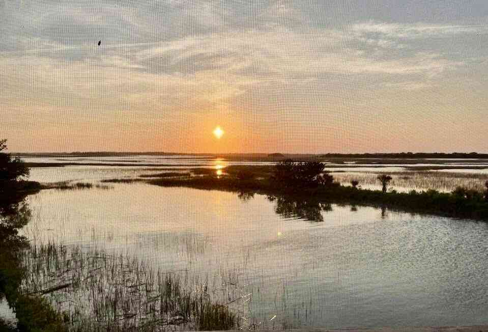 Condo For Sale - 97 Mariners Cay Drive<br/> Folly Beach, SC 29439