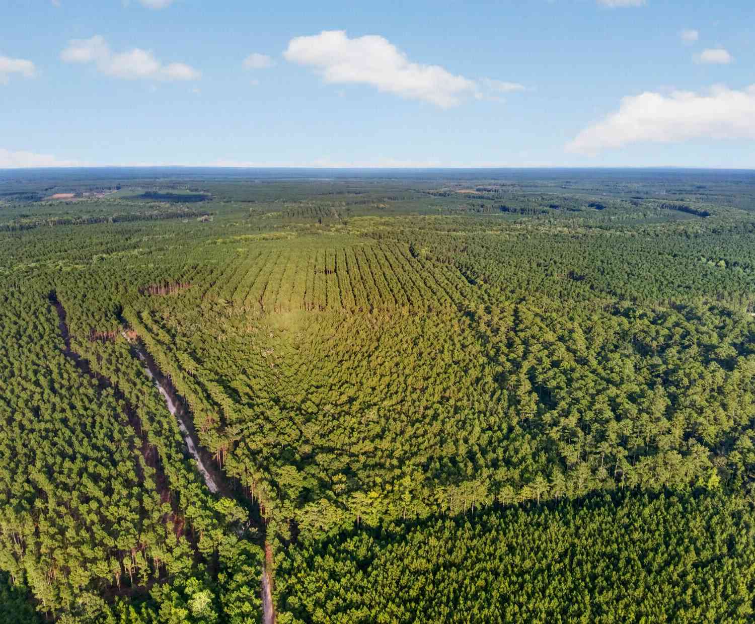 Vacant Land For Sale - Greenwood<br/> Charleston County, Adams Run, SC 29426
