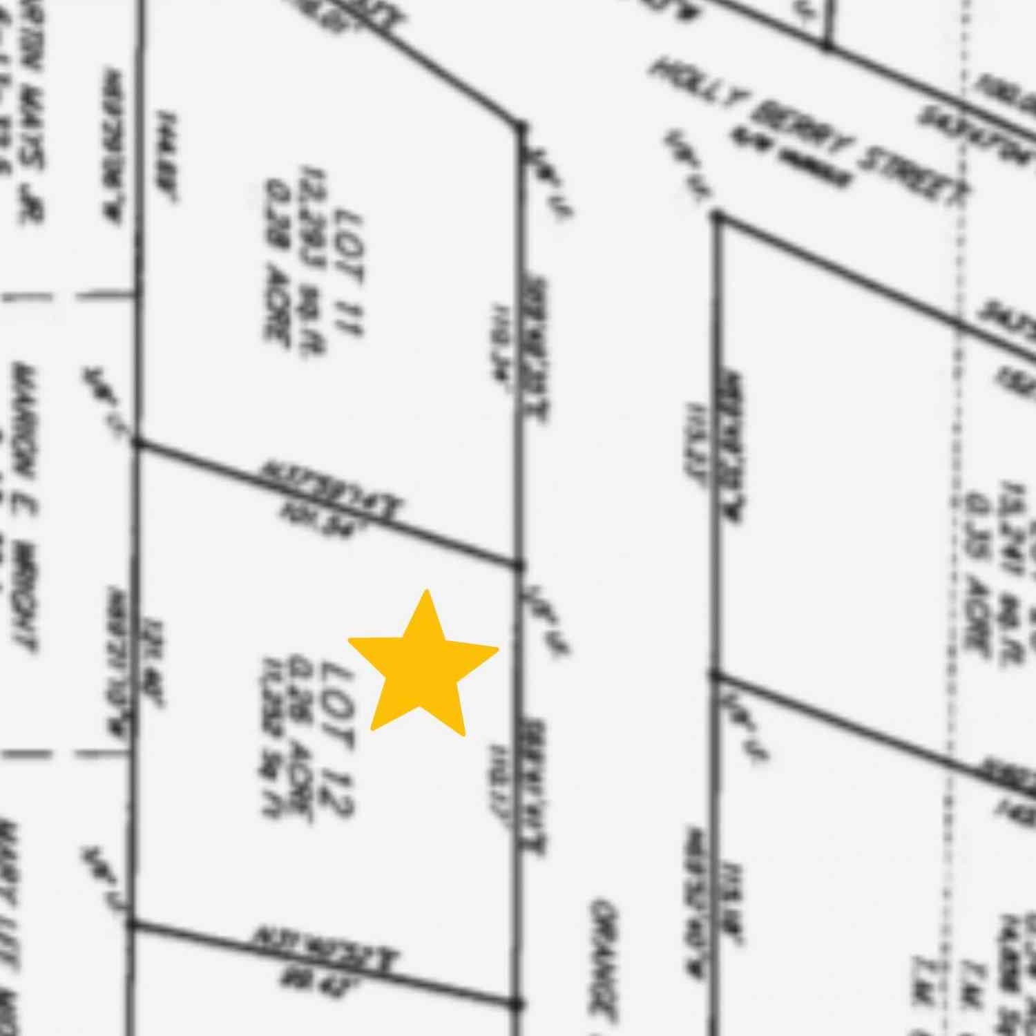 Vacant Land For Sale - Orange Blossom Street<br/> Andrews, SC 29510
