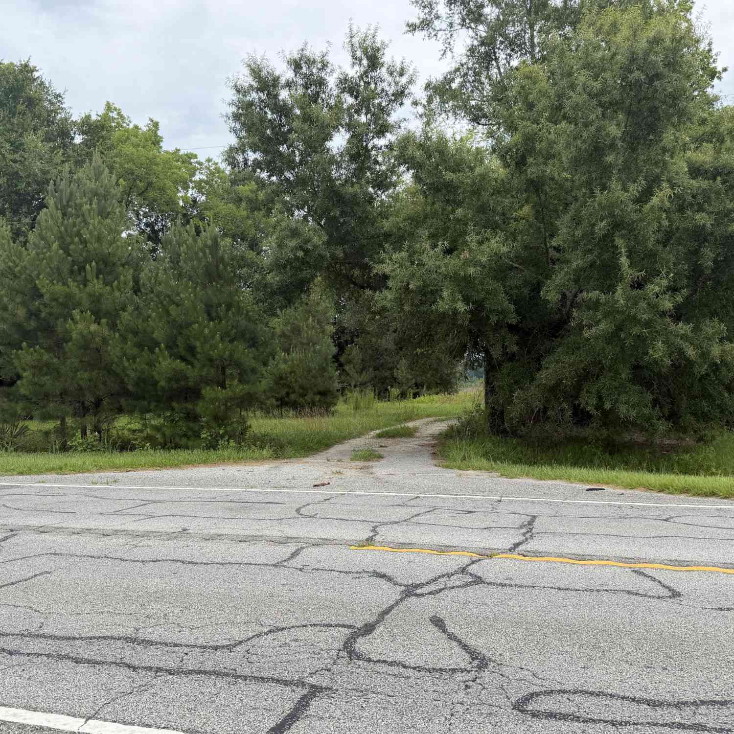Vacant Land For Sale - 00 State Road<br/> Holly Hill, SC 29059