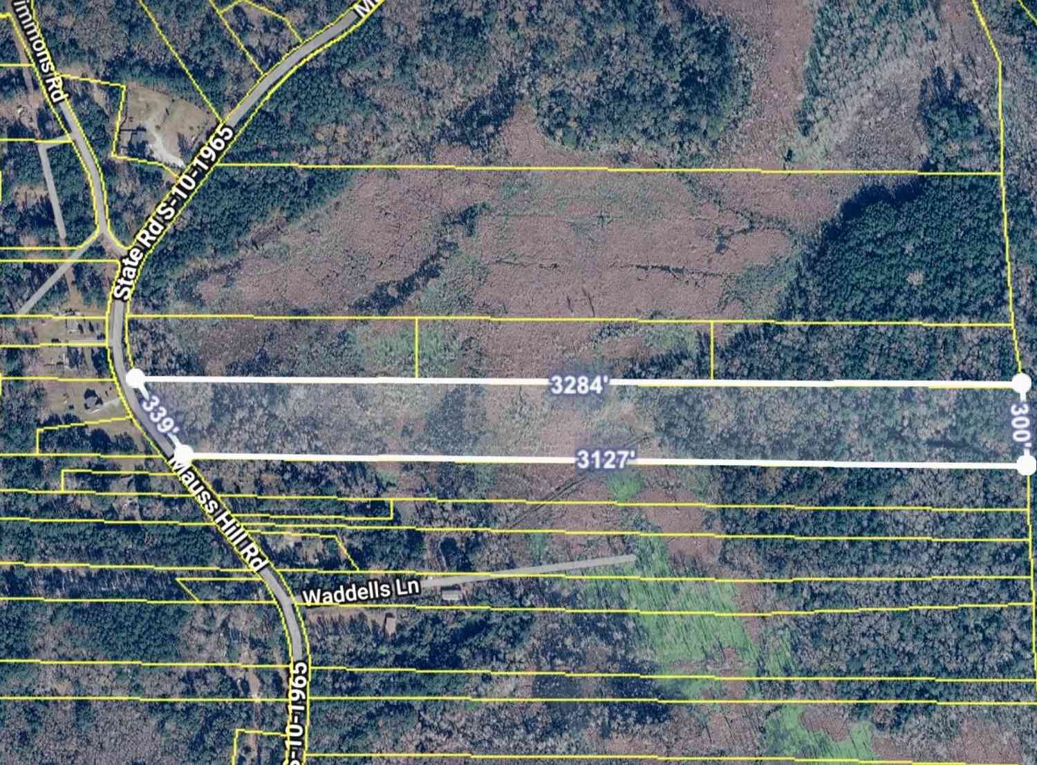 Vacant Land For Sale - Mauss Hill Road<br/> Adams Run, SC 29426