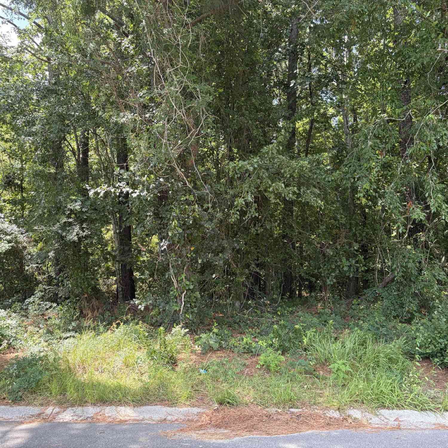 Vacant Land For Sale - 308 E Poplar Branch Drive<br/> Moncks Corner, SC 29461