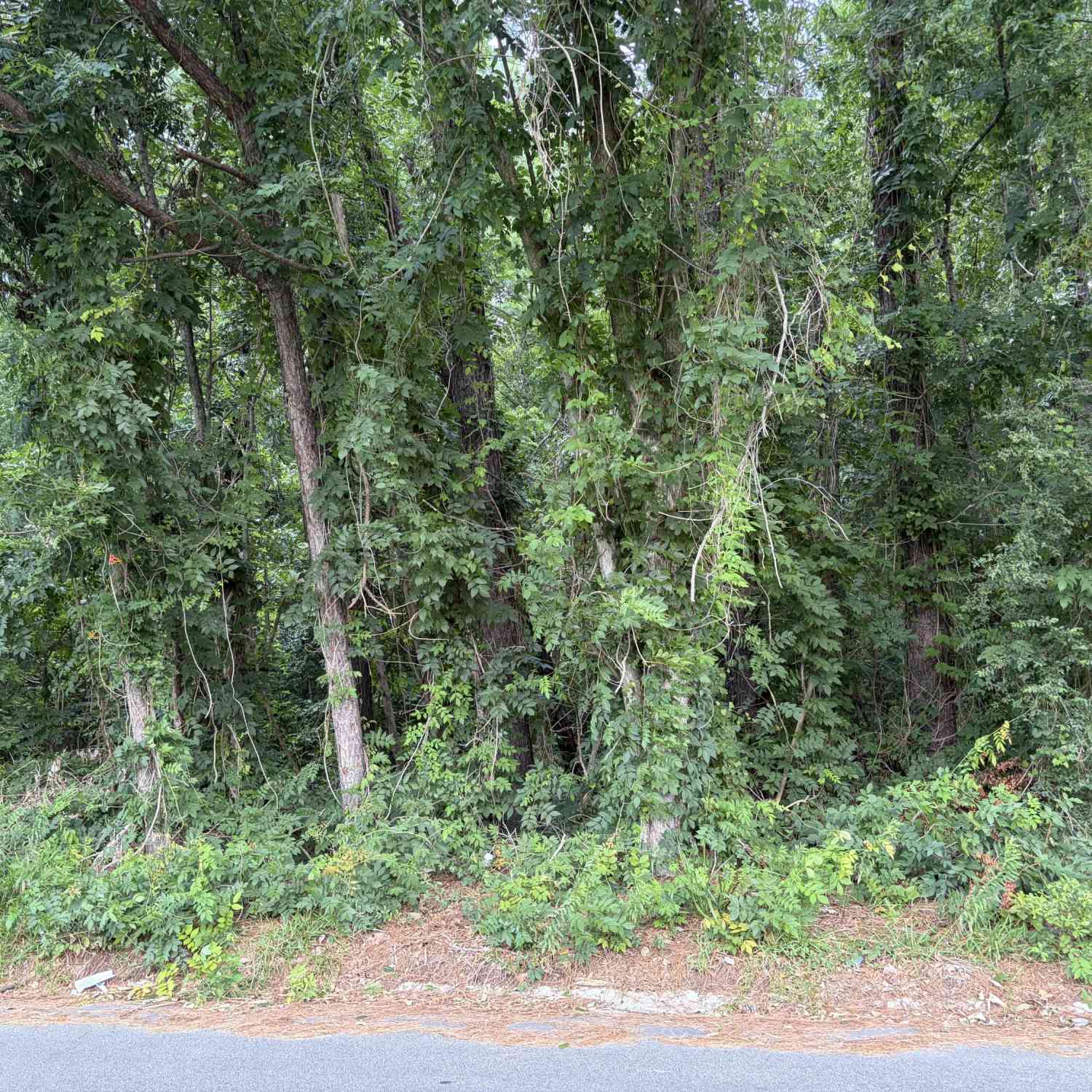 Vacant Land For Sale - 314 E Poplar Branch Drive<br/> Moncks Corner, SC 29461