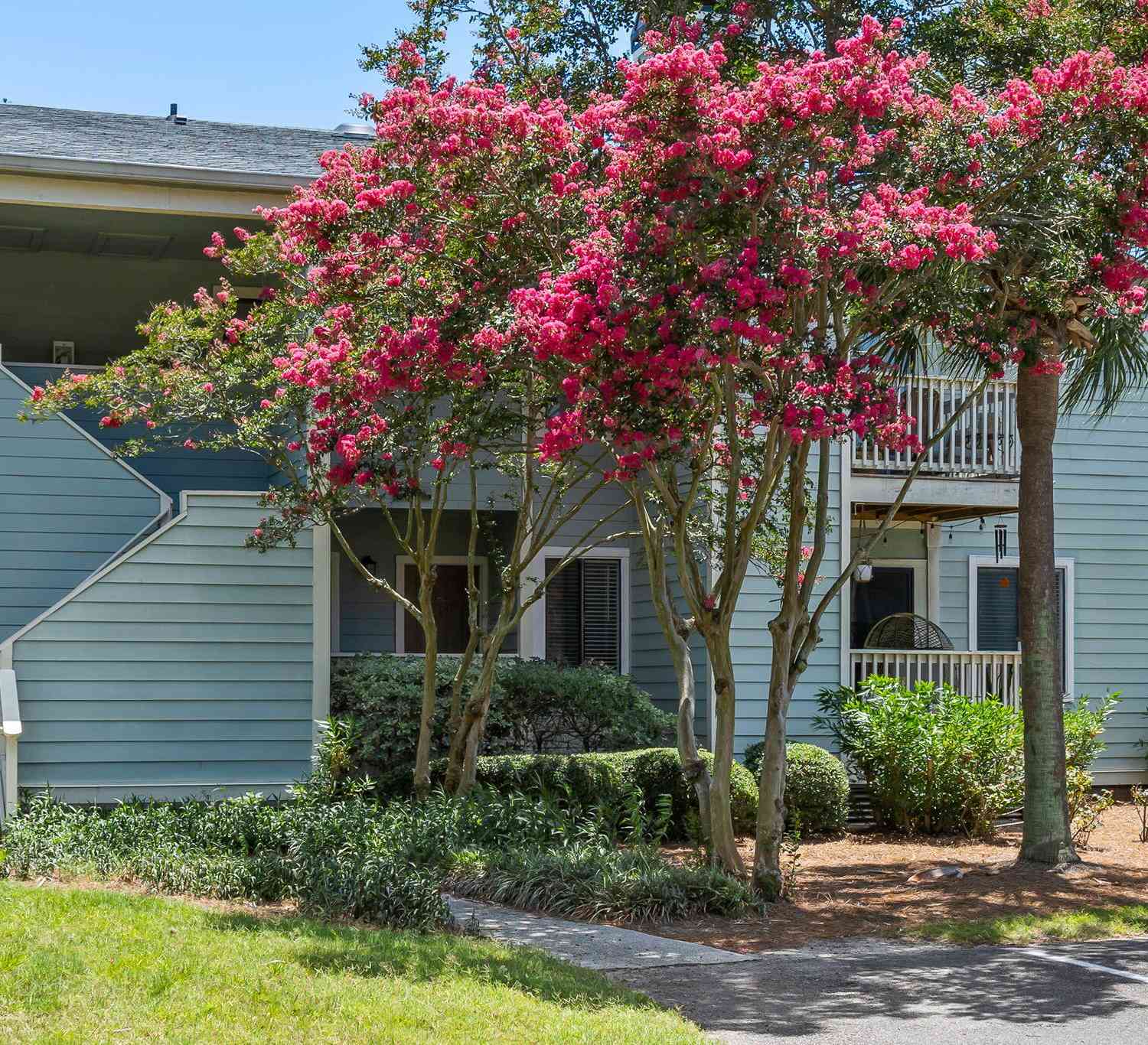 Condo For Sale - 1481 Center Street #1602<br/> Mount Pleasant, SC 29464