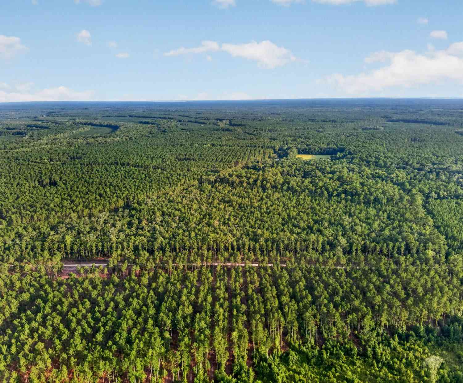 Vacant Land For Sale - Greenwood Road<br/> Charleston County, Adams Run, SC 29426