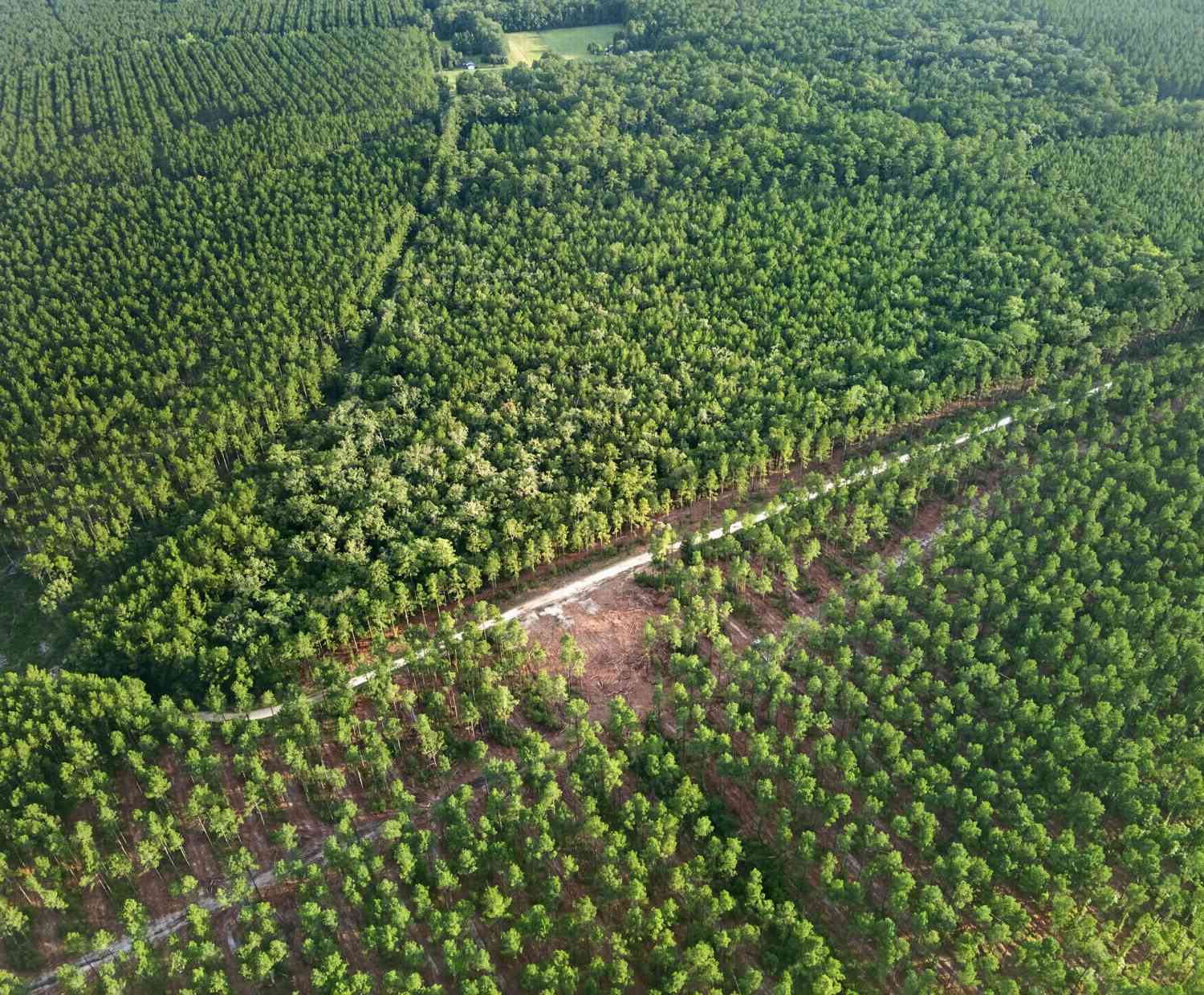 Vacant Land For Sale - Greenwood<br/> Charleston County, Adams Run, SC 29426