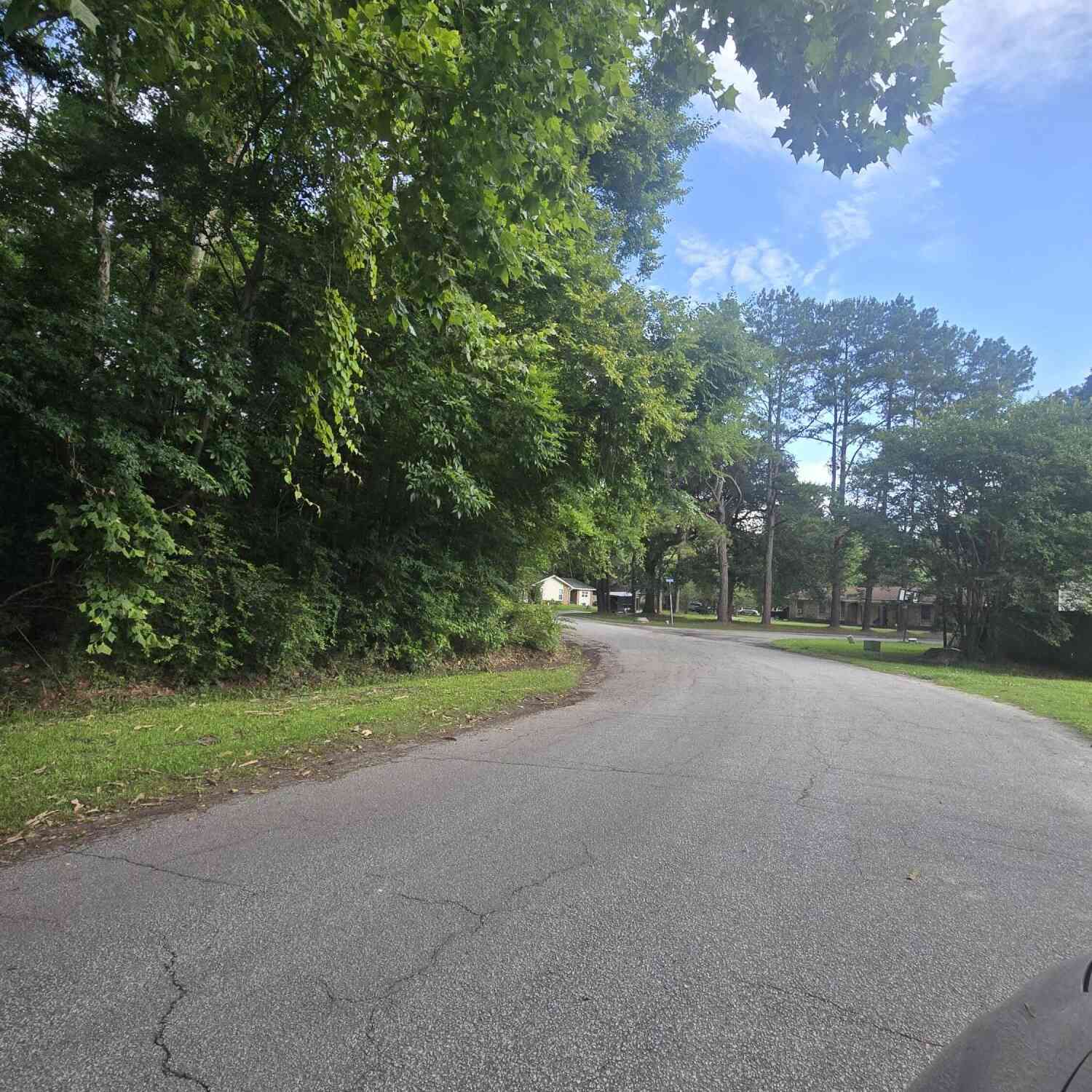Vacant Land For Sale - Judith Lot 3 Drive<br/> Summerville, SC 29485