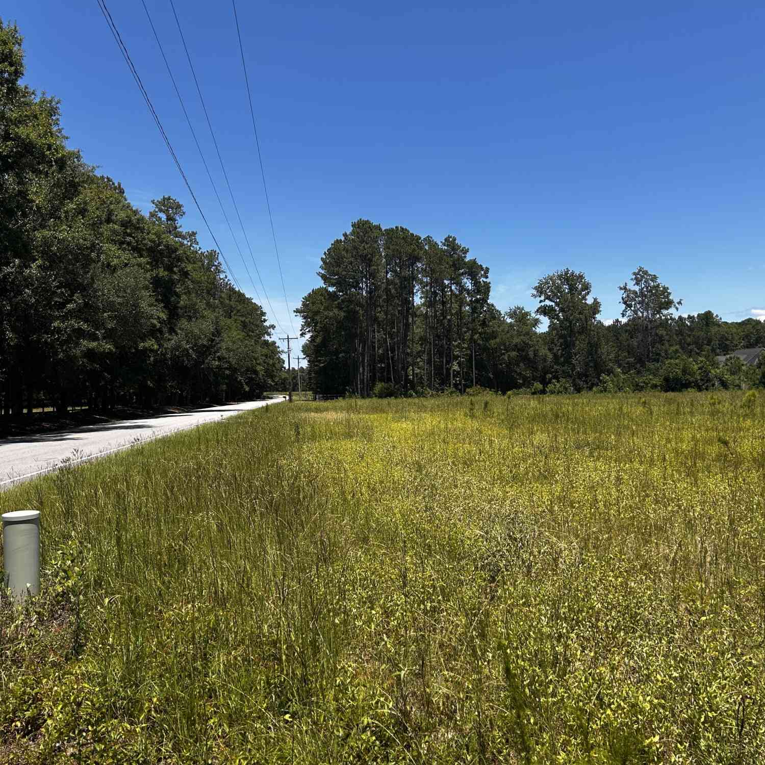 Vacant Land For Sale - Cane Branch Road<br/> Colleton County, Walterboro, SC 29488