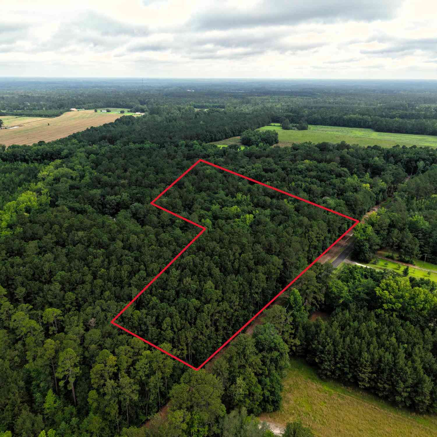 Vacant Land For Sale - 2240 Scuffletown Road<br/> Ruffin, SC 29475
