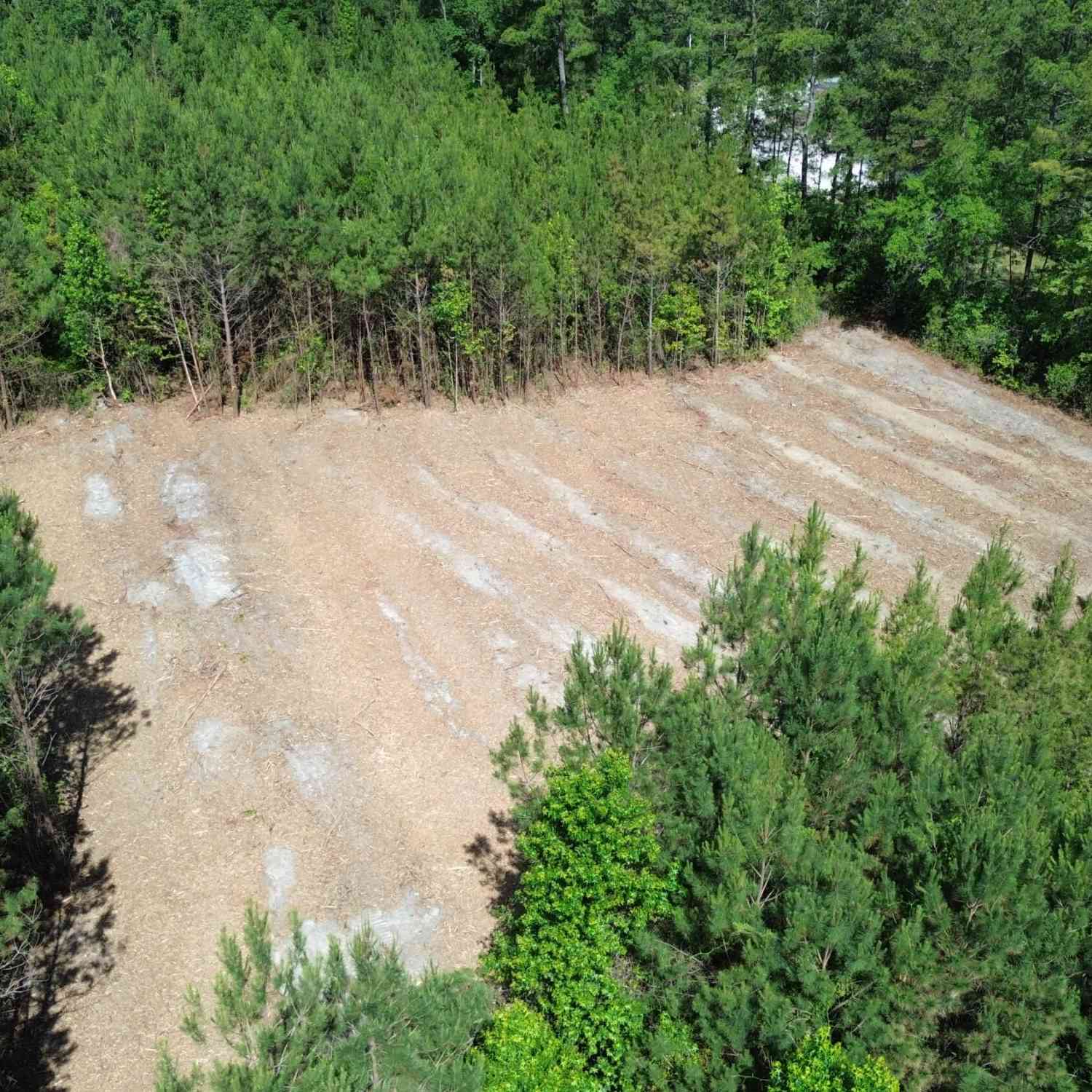Vacant Land For Sale - 1 Highway 311<br/> Berkeley County, Cross, SC 29436