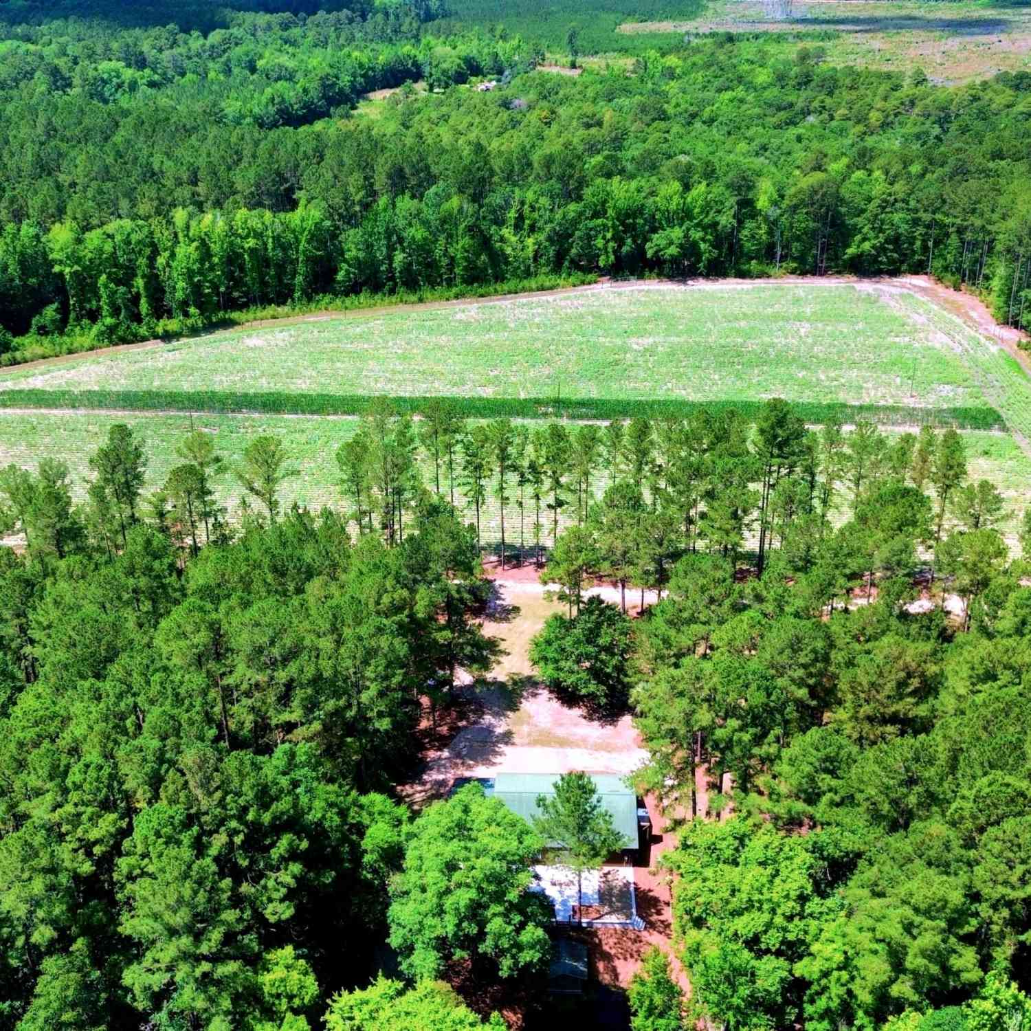 Vacant Land For Sale - 1970 Cross Swamp Road<br/> Colleton County, Lodge, SC 29082