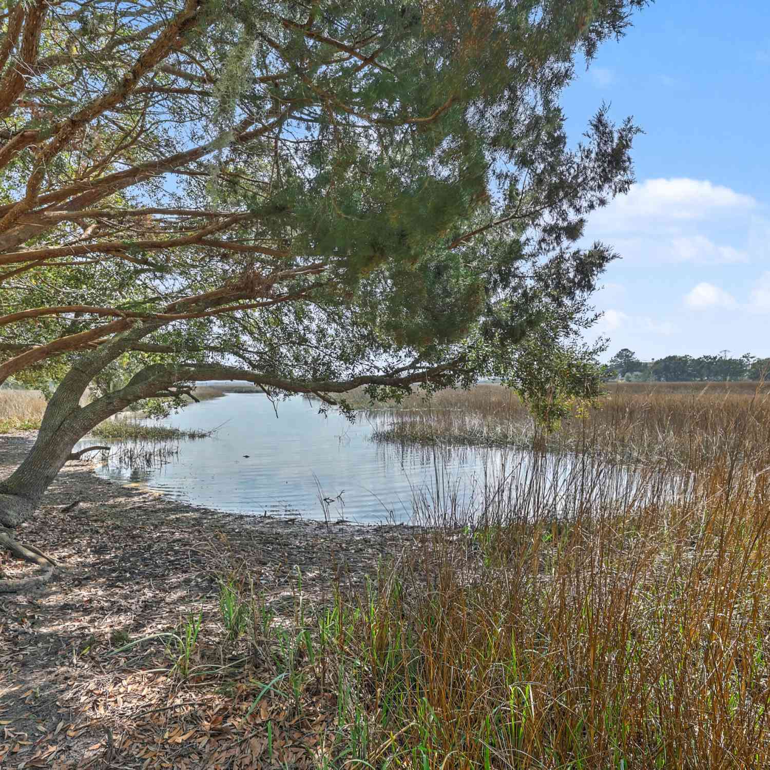 Vacant Land For Sale - 00 James Bay Road<br/> Johns Island, SC 29455