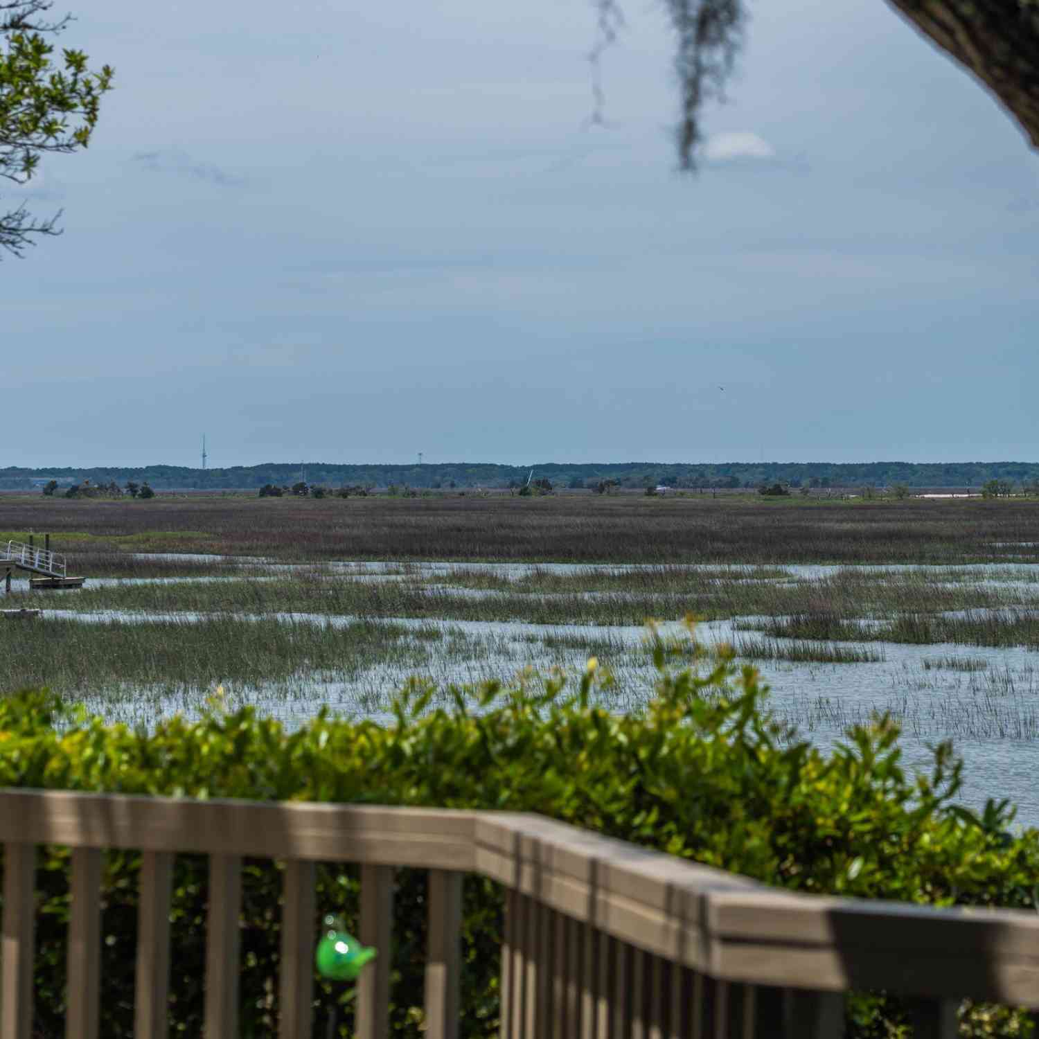Homes For Sale - 12 Marsh Island Lane<br/> Isle of Palms, SC 29451