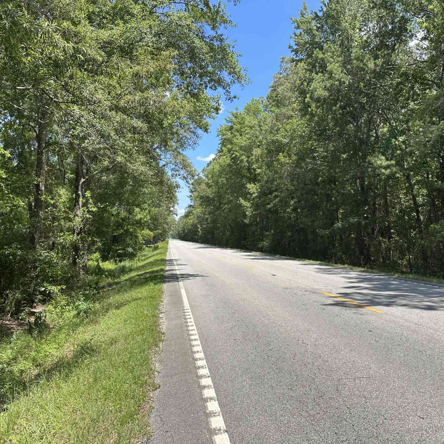 Vacant Land For Sale - 00 Highway 17a<br/> Bonneau, SC 29431