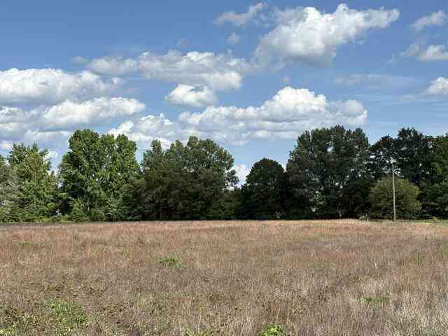Vacant Land For Sale - TBD Liberty Hill Road<br/> Summerton, SC 29148