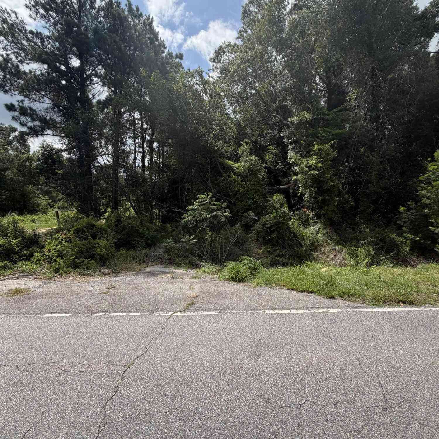Vacant Land For Sale - Norway Road<br/> Orangeburg, SC 29115