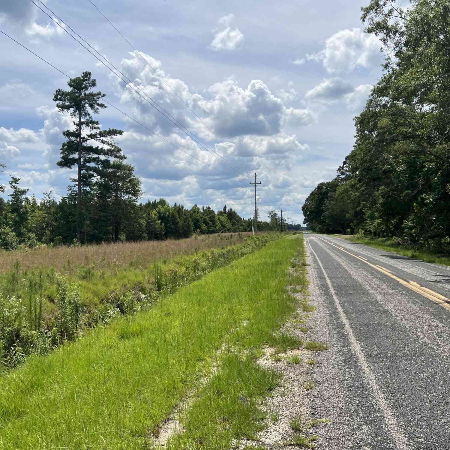 Vacant Land For Sale - 245 Wild Turkey State Rd S-38-465<br/> Cameron, SC 29030