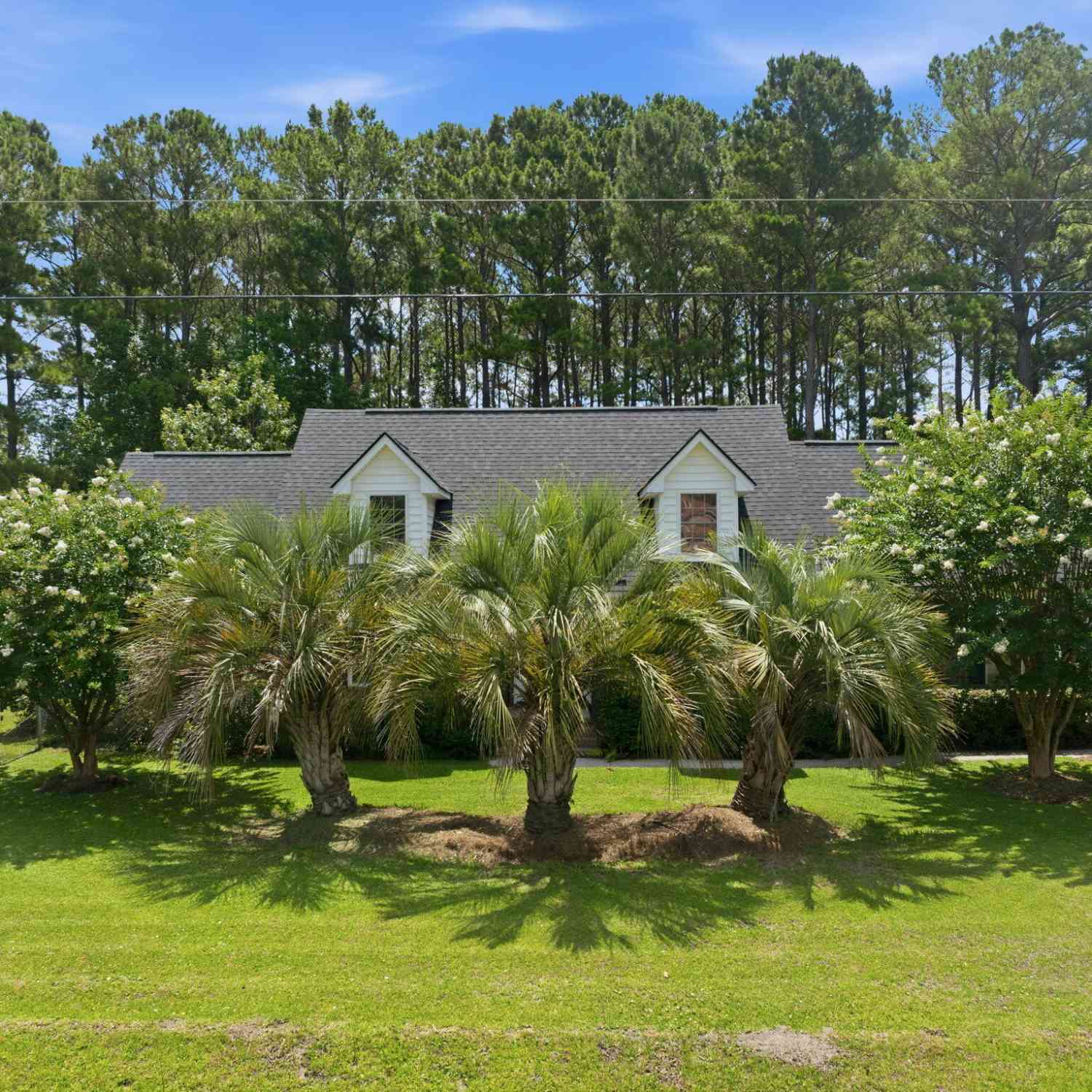 Homes For Sale - 2981 Bennett Charles Road<br/> Mount Pleasant, SC 29466