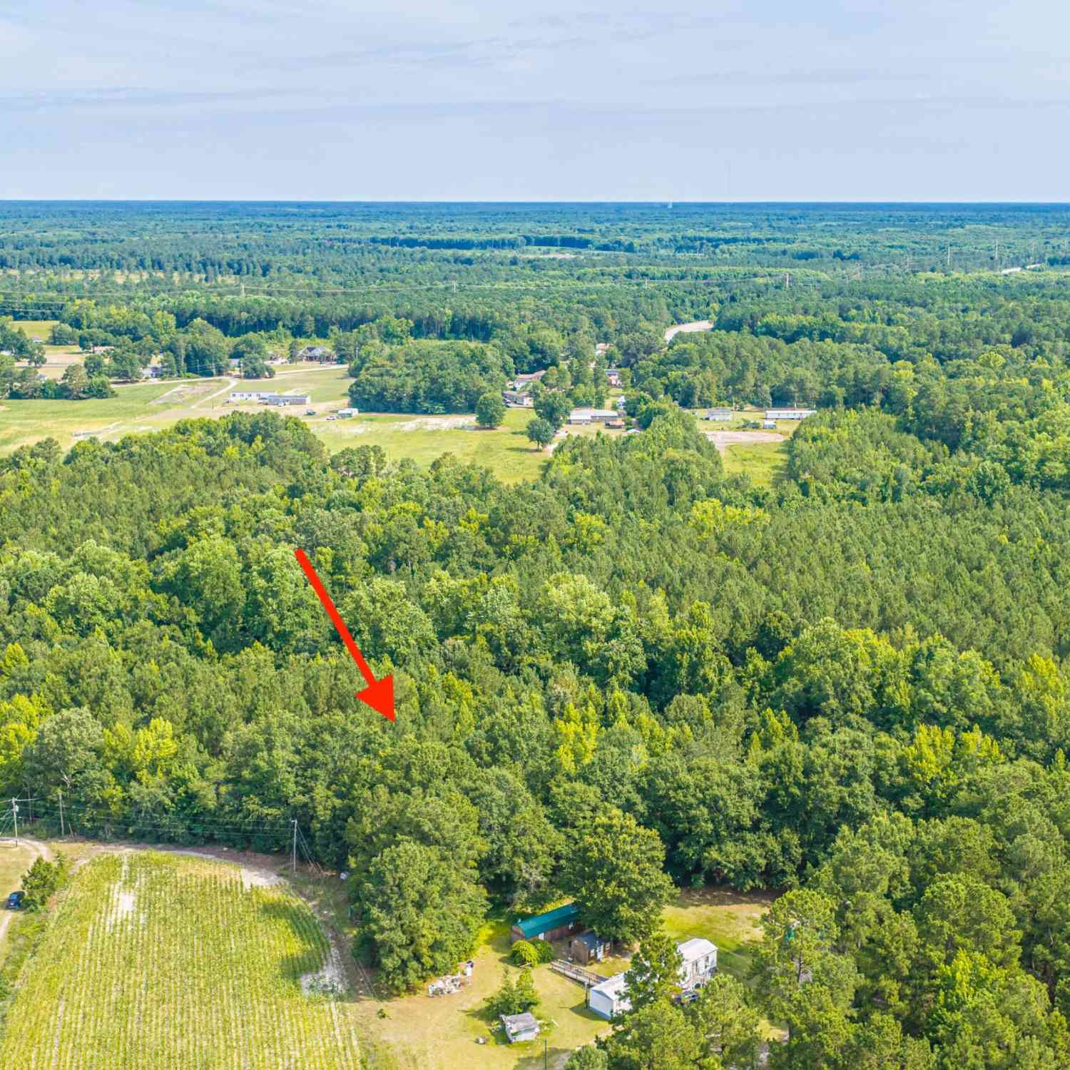 Vacant Land For Sale - Leviticus Lots D-1 And D-2 Lane<br/> Berkeley County, Pineville, SC 29468