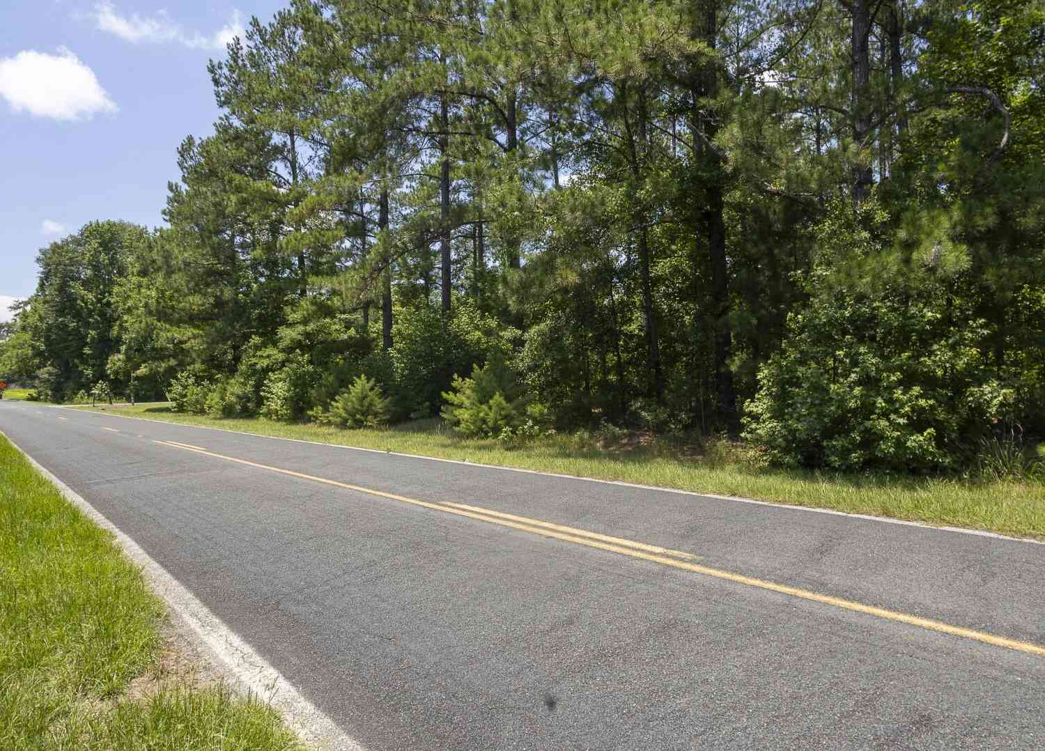 Vacant Land For Sale - Toney Bay Road<br/> Orangeburg County, Holly Hill, SC 29059