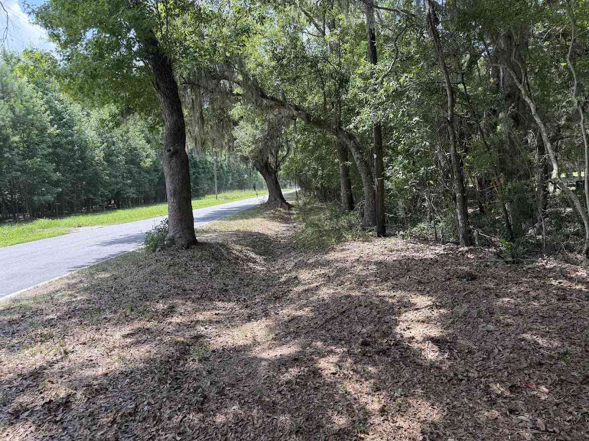 Vacant Land For Sale - 4491 Sc-165<br/> Hollywood, SC 29449