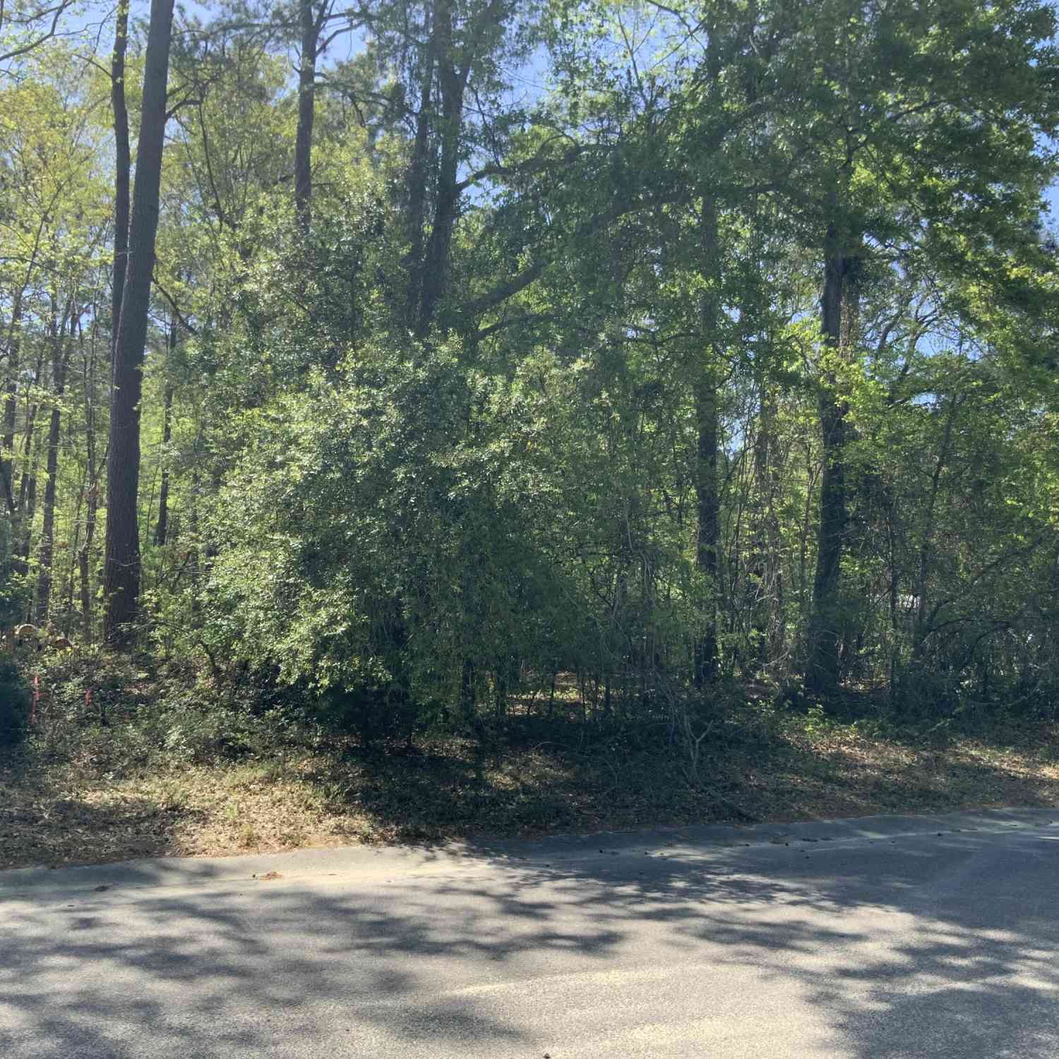 Vacant Land For Sale - Ash Hill Drive<br/> Eutawville, SC 29048