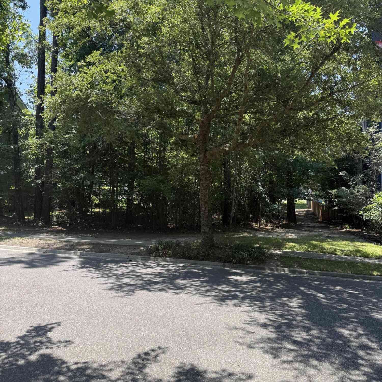 Vacant Land For Sale - 235 Lotz Drive<br/> Summerville, SC 29483