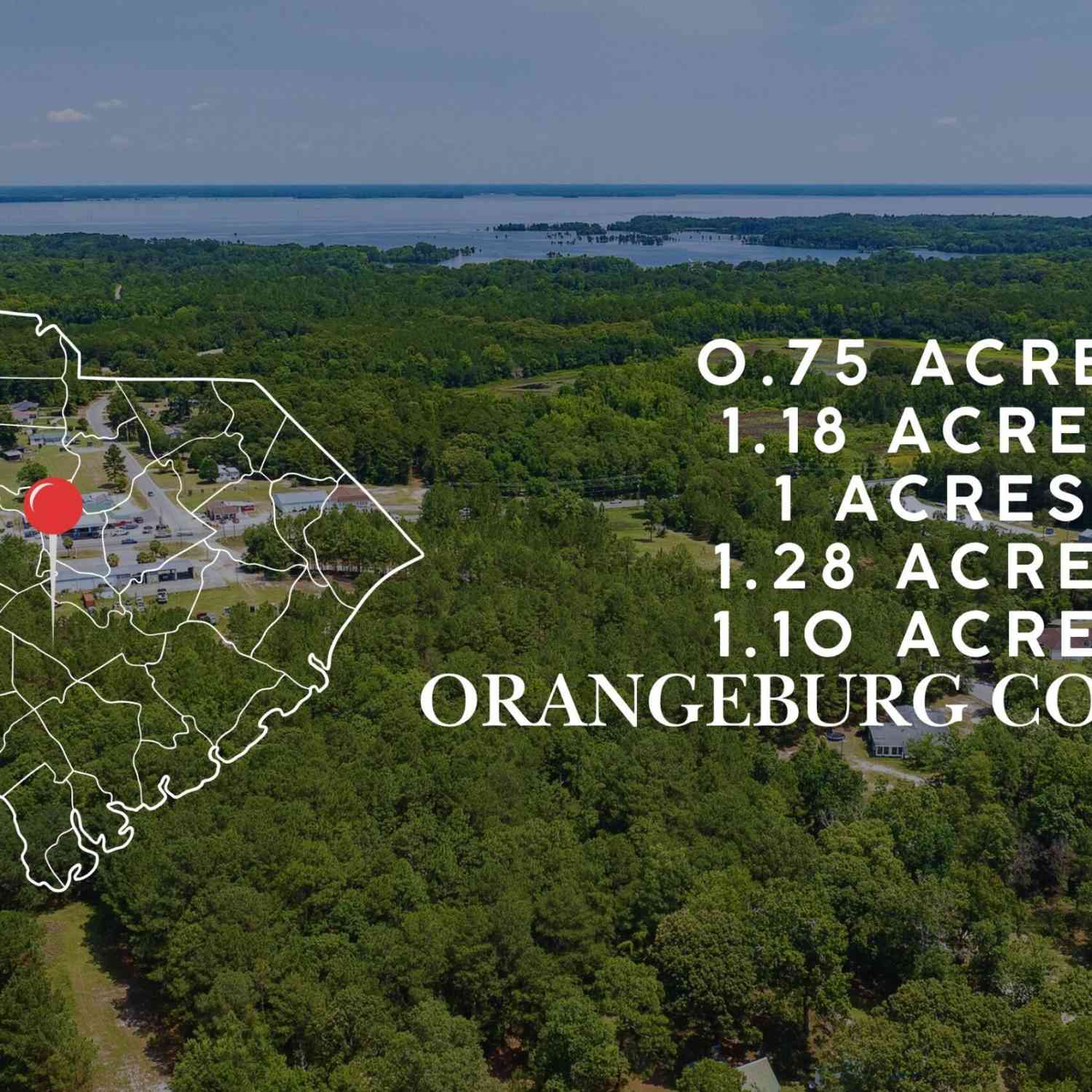 Vacant Land For Sale - 1 Broken Arrow Road<br/> Orangeburg County, Eutawville, SC 29048