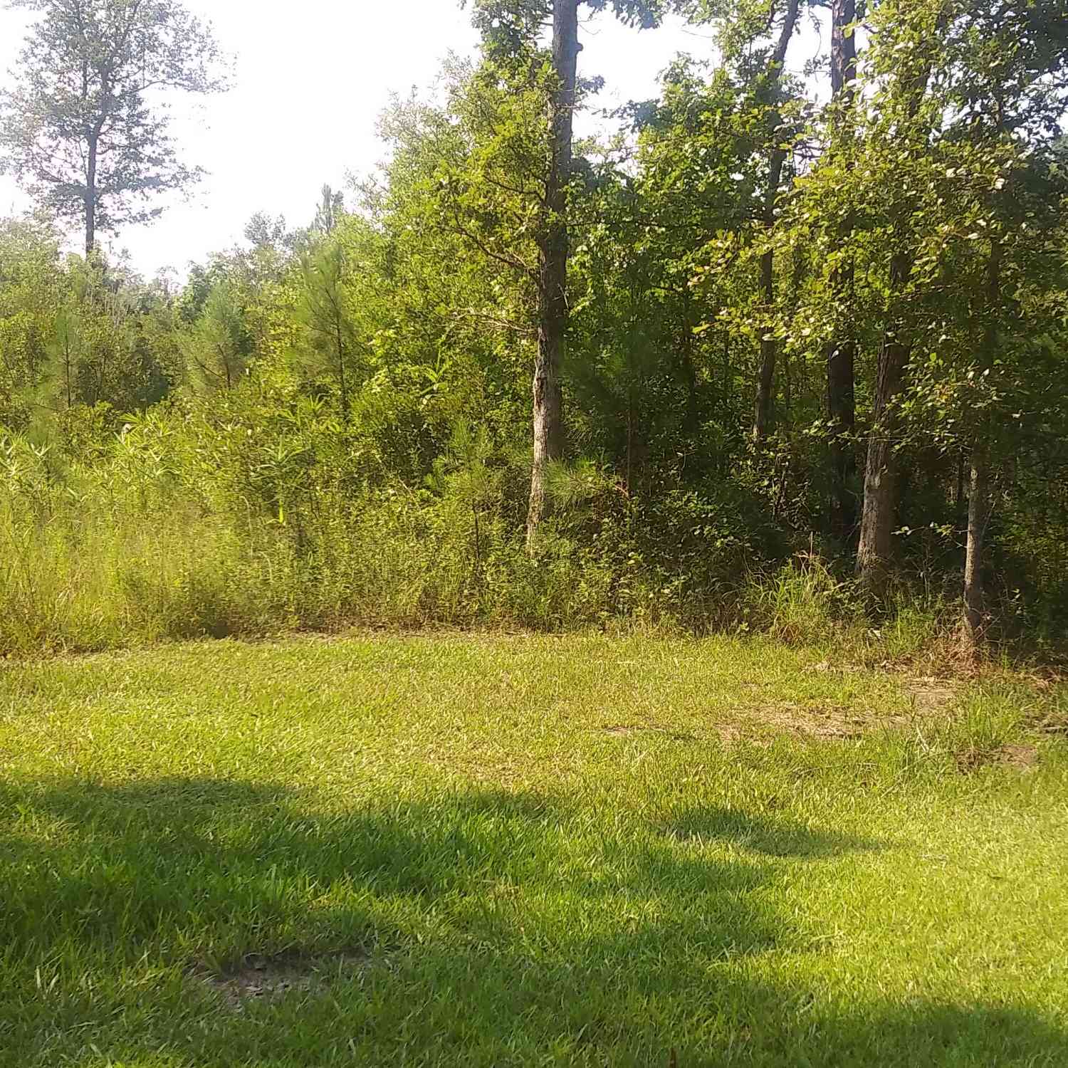 Vacant Land For Sale - 258 Truth Way #LOT  5<br/> Cordesville, SC 29434