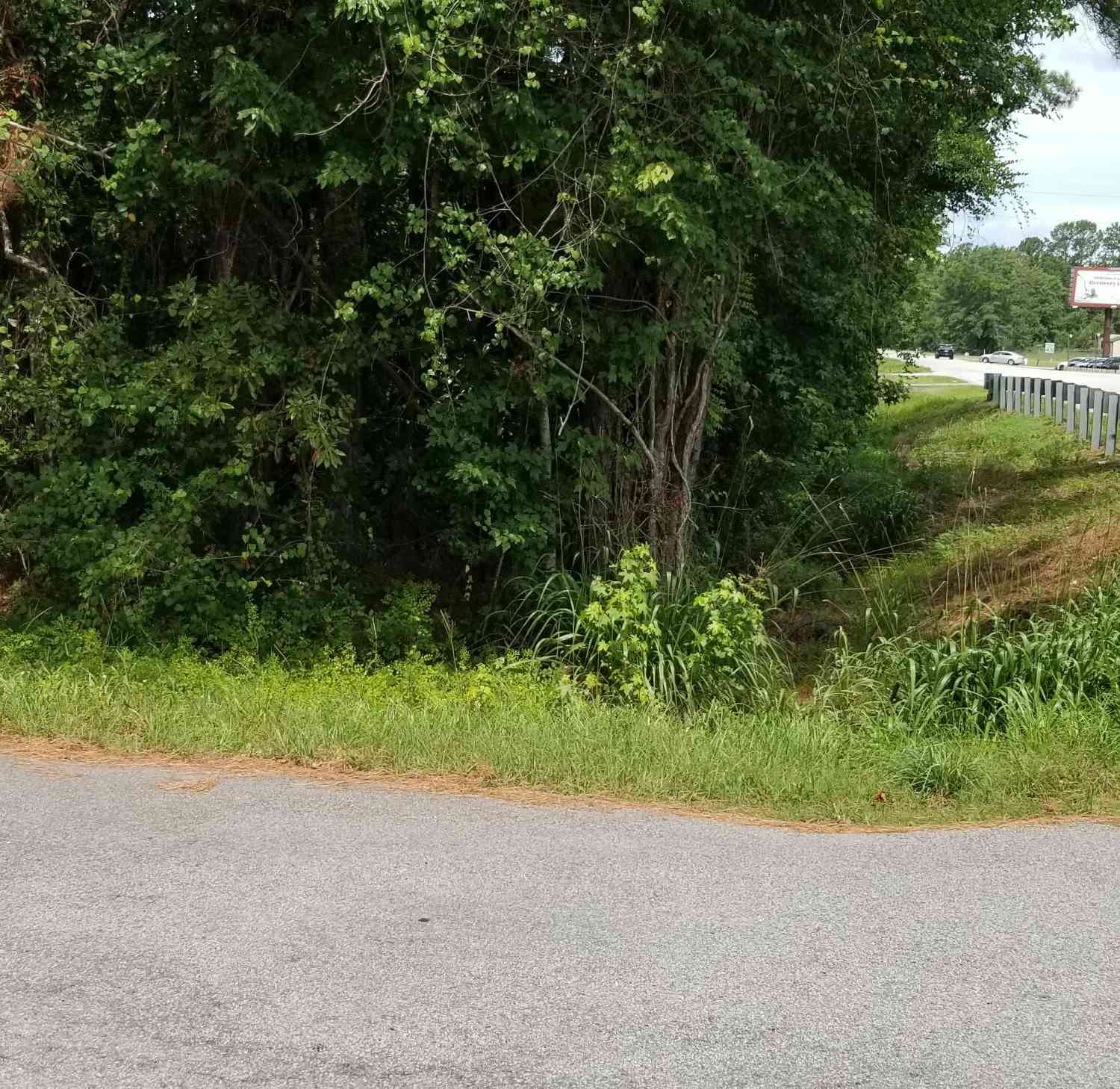 Vacant Land For Sale - Henry Street<br/> Walterboro, SC 29488