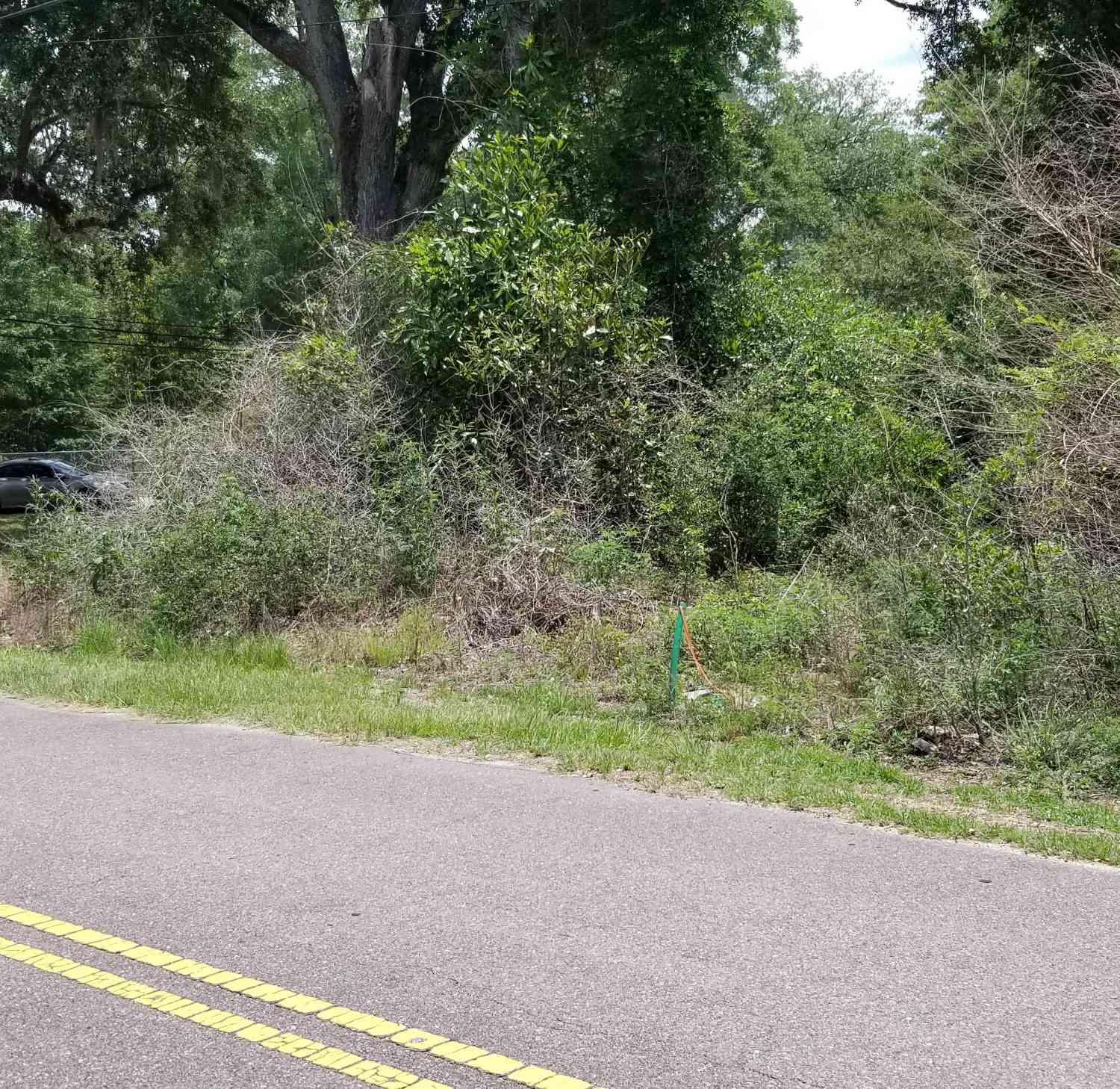 Vacant Land For Sale - Pearson Street<br/> Colleton County, Walterboro, SC 29488