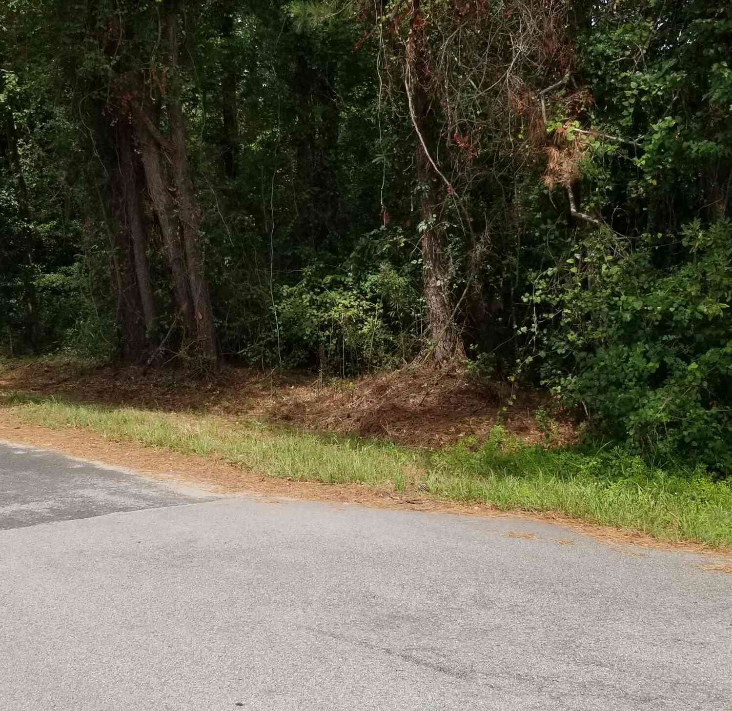 Vacant Land For Sale - 308 Mcdaniel Street<br/> Colleton County, Walterboro, SC 29488