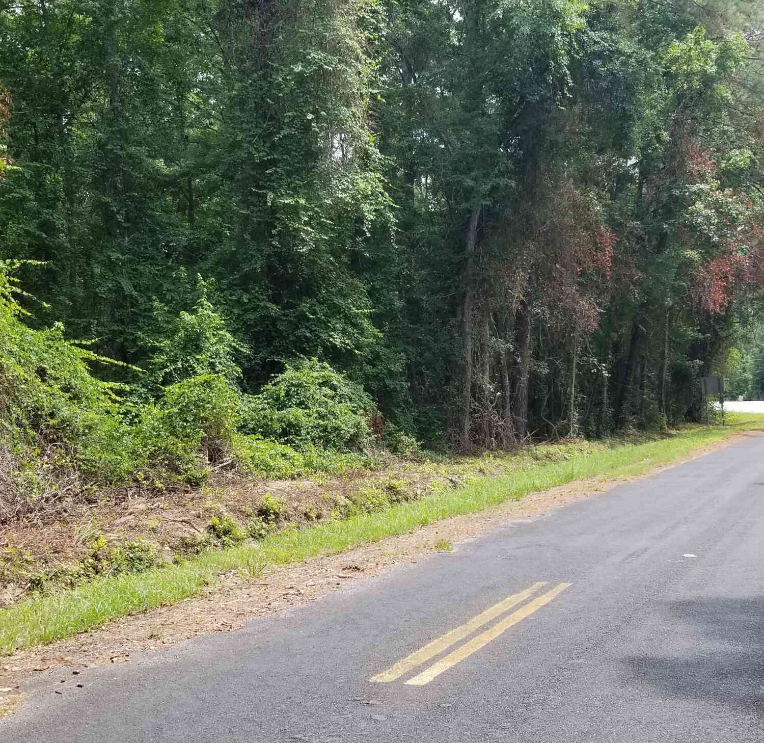 Vacant Land For Sale - Pine Needle Road<br/> Walterboro, SC 29488
