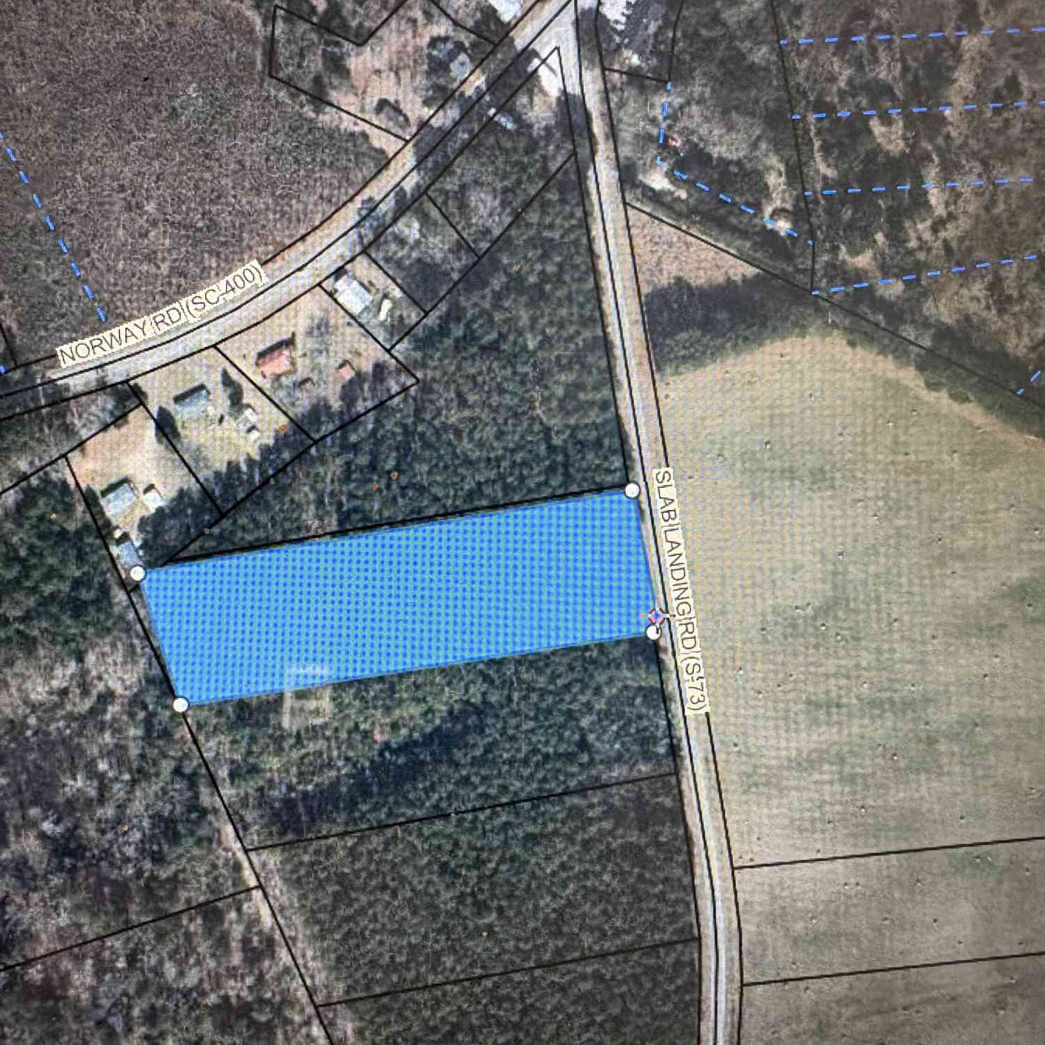 Vacant Land For Sale - TBD Slablanding Road Road<br/> Orangeburg County, Cope, SC 29038