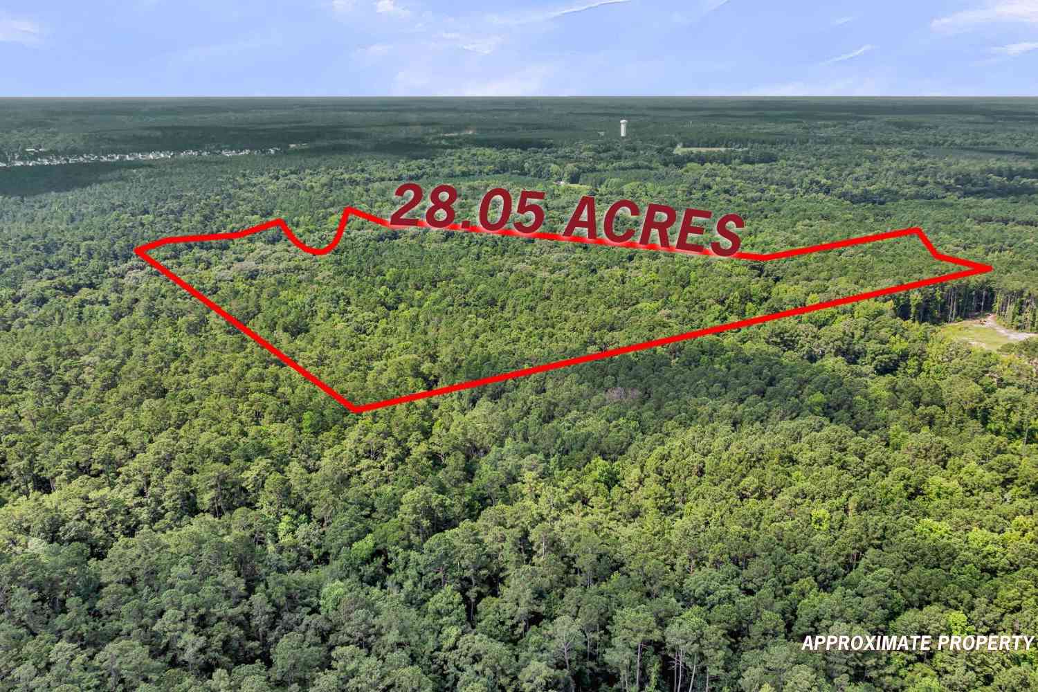 Vacant Land For Sale - Canewood Lane<br/> Dorchester County, Ridgeville, SC 29472