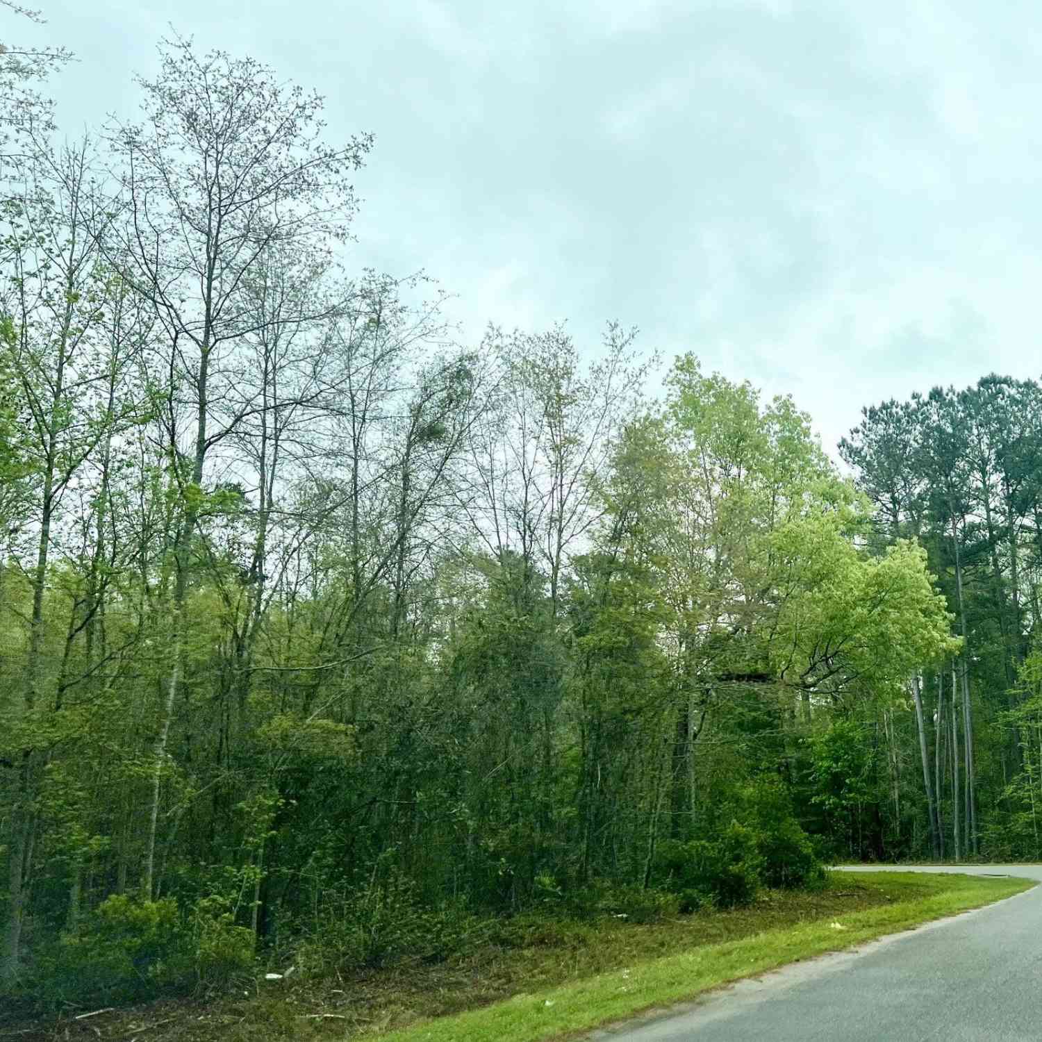 Vacant Land For Sale - Glen Street<br/> Colleton County, Walterboro, SC 29488