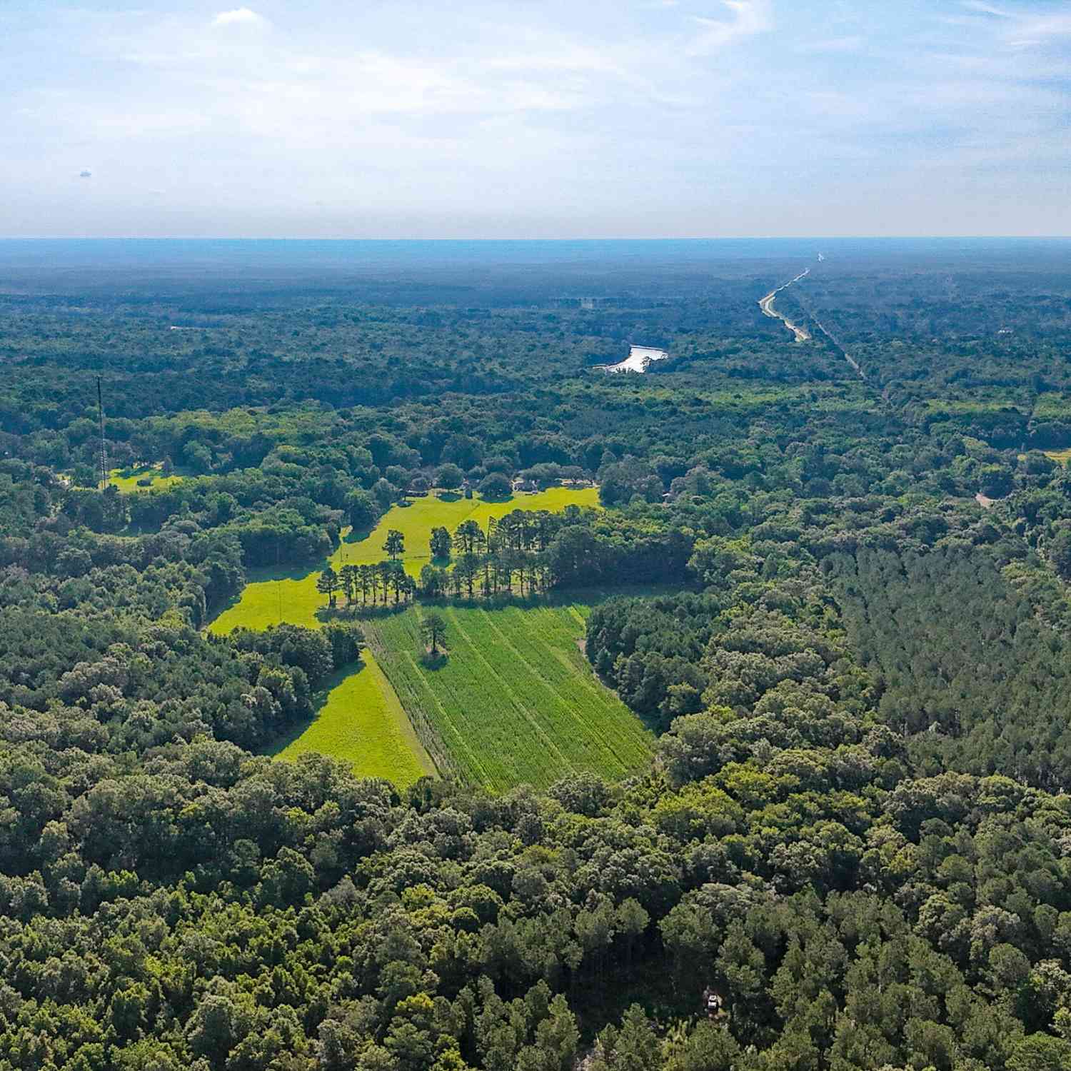 Homes For Sale - Hope Plantation Lane<br/> Colleton County, Jacksonboro, SC 29452