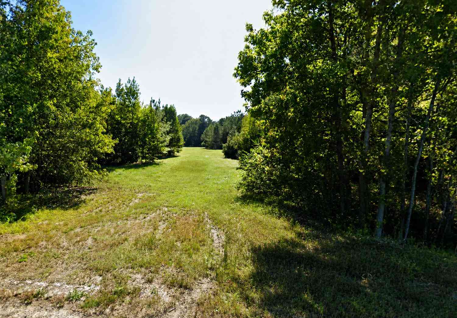 Vacant Land For Sale - Bethel Cemetery Road<br/> Dorchester County, Reevesville, SC 29471