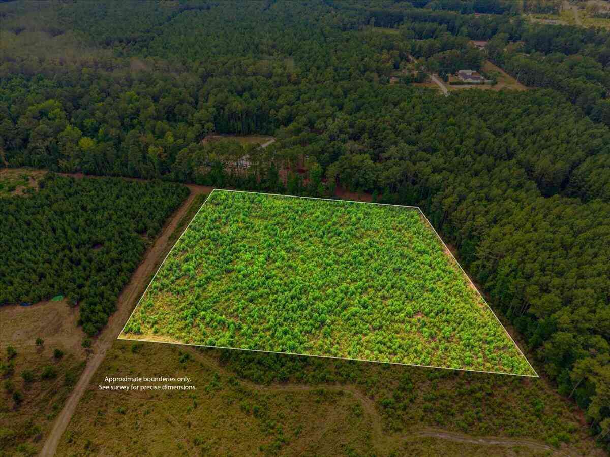 Vacant Land For Sale - 00 Adams Road<br/> Colleton County, Cottageville, SC 29435