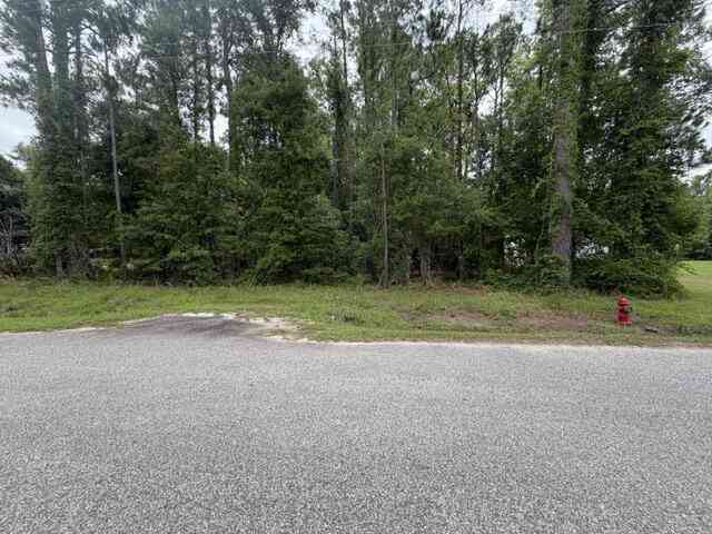 Vacant Land For Sale - TBD Lakewood Drive<br/> Manning, SC 29102