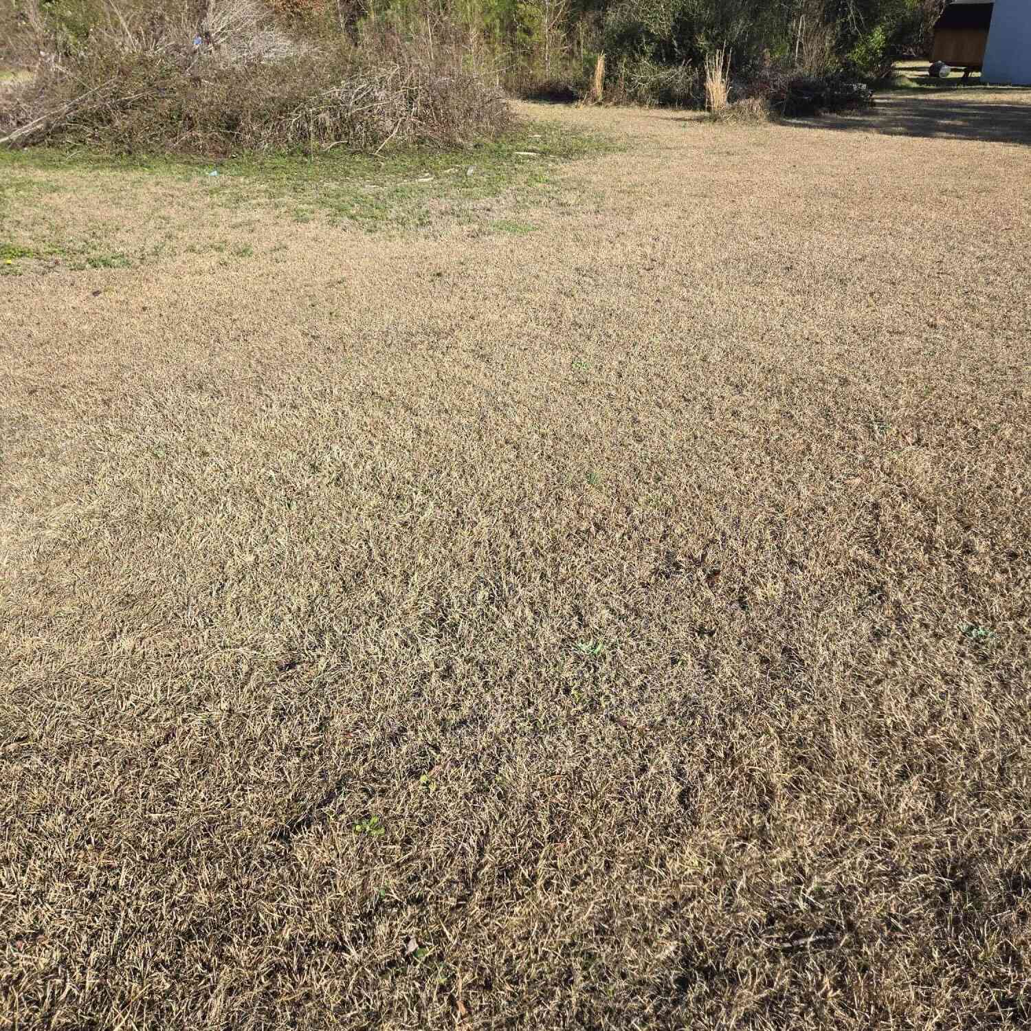 Vacant Land For Sale - Bass Drive<br/> Orangeburg County, Holly Hill, SC 29059