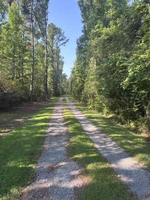 Vacant Land For Sale - Gallashaw Road<br/> Dorchester County, Summerville, SC 29483