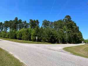 Vacant Land For Sale - Marigold Road<br/> Orangeburg County, Orangeburg, SC 29115