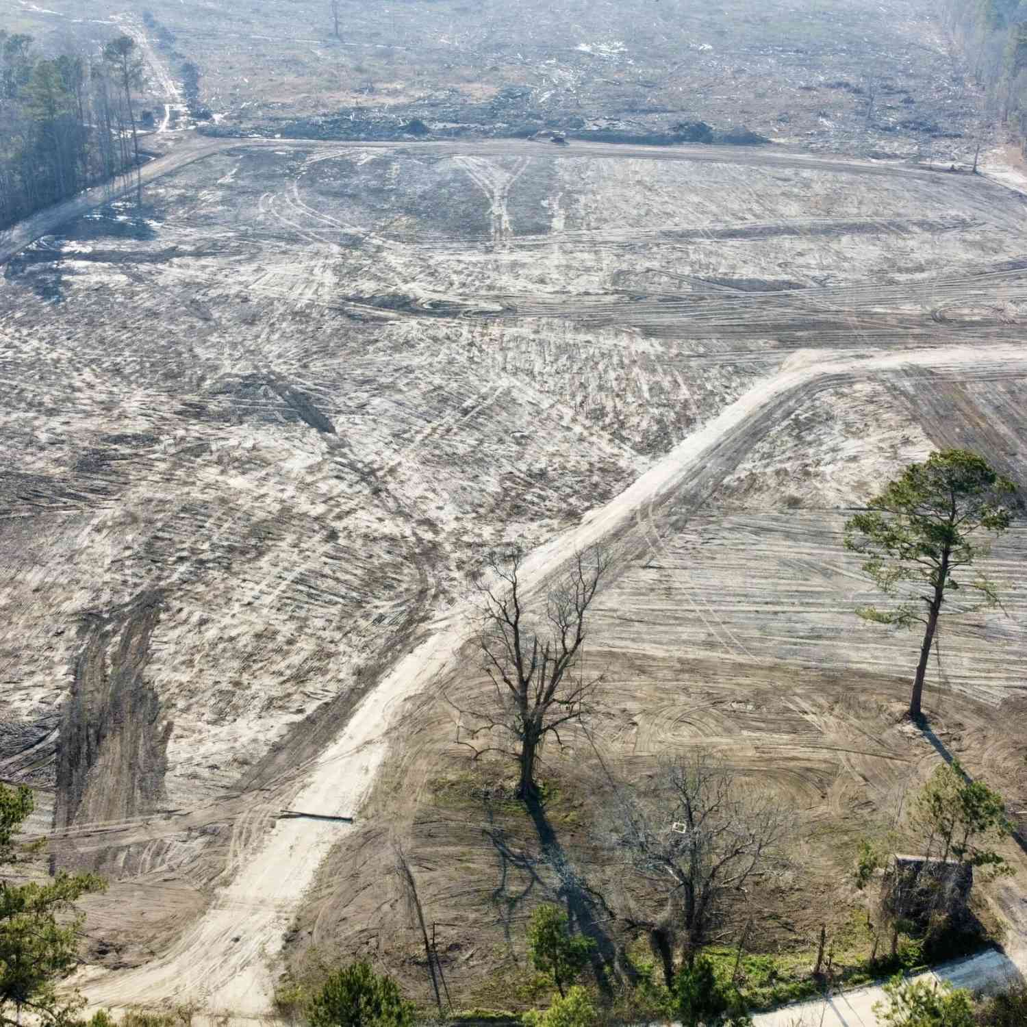 Vacant Land For Sale - Old Spell Road<br/> Saint George, SC 29477