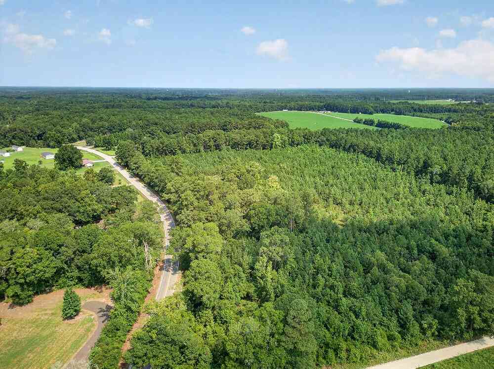 Vacant Land For Sale - 00 First Texas Road<br/> Saint George, SC 29477