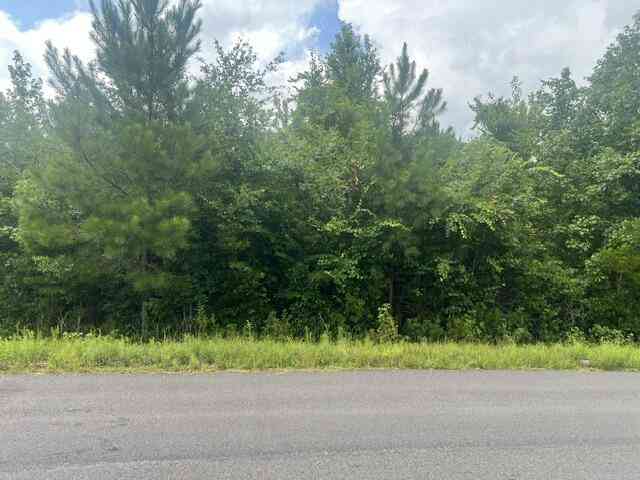Vacant Land For Sale - Thomas Road<br/> Dorchester, SC 29437