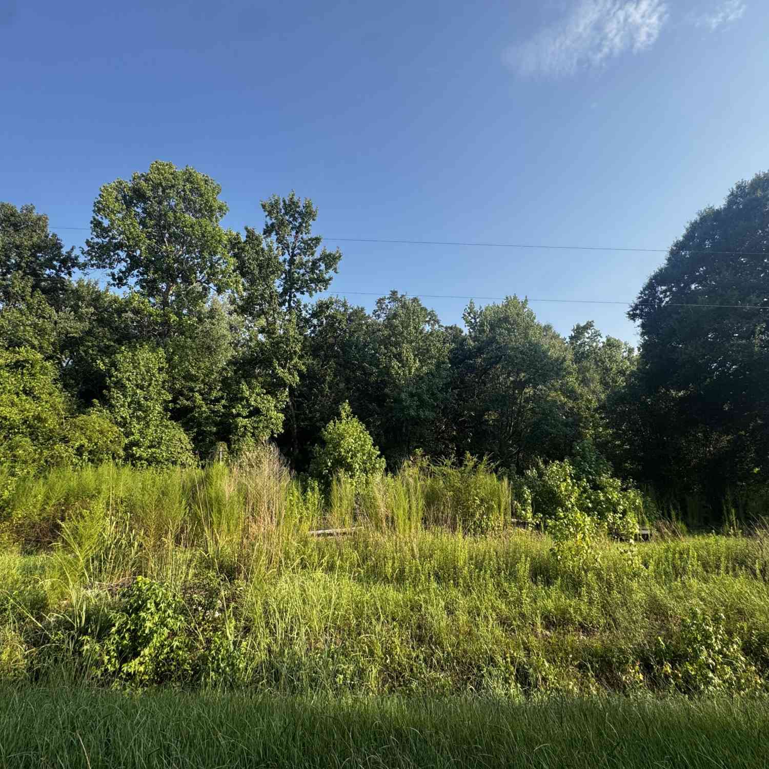 Vacant Land For Sale - 31 Gaines Circle<br/> Cottageville, SC 29435