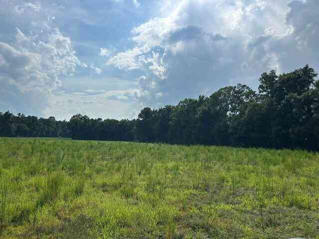 Vacant Land For Sale - LOT 1 7 Mile Road<br/> Harleyville, SC 29448